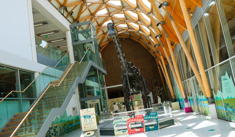 Herbert Art Gallery & Museum