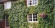 Furzen Hill Farm Cottages